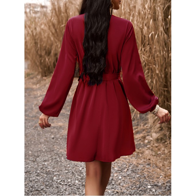 Elegant V-neck long sleeved dress